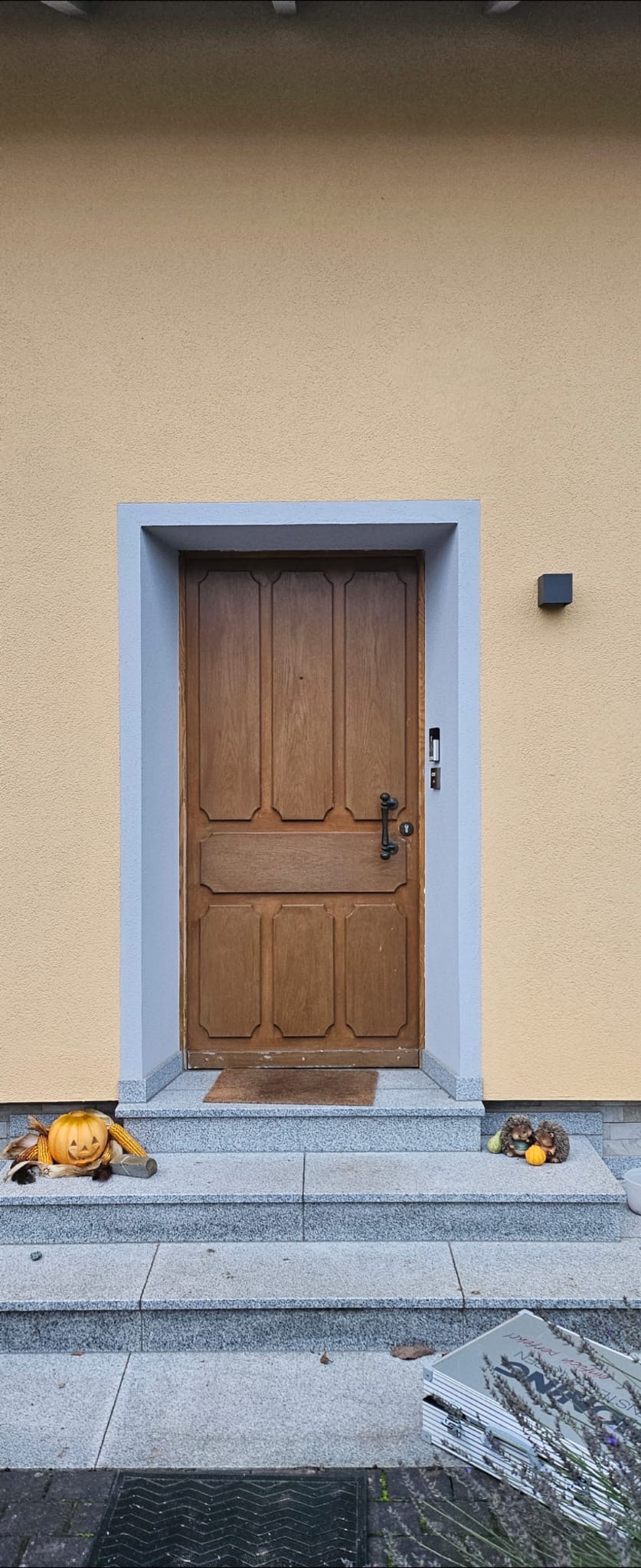 Vorher – Alte braune Haustür